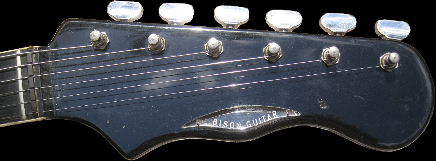 Burns Black Bison Guitar