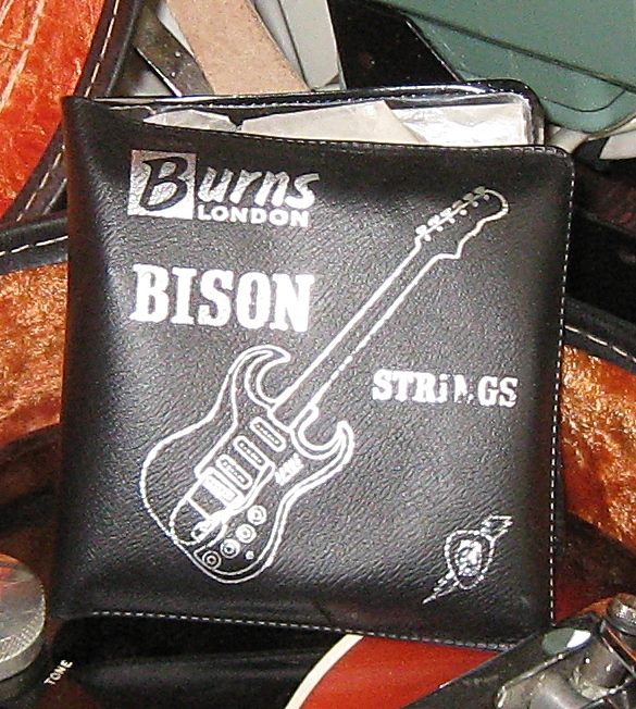 Bison Strings